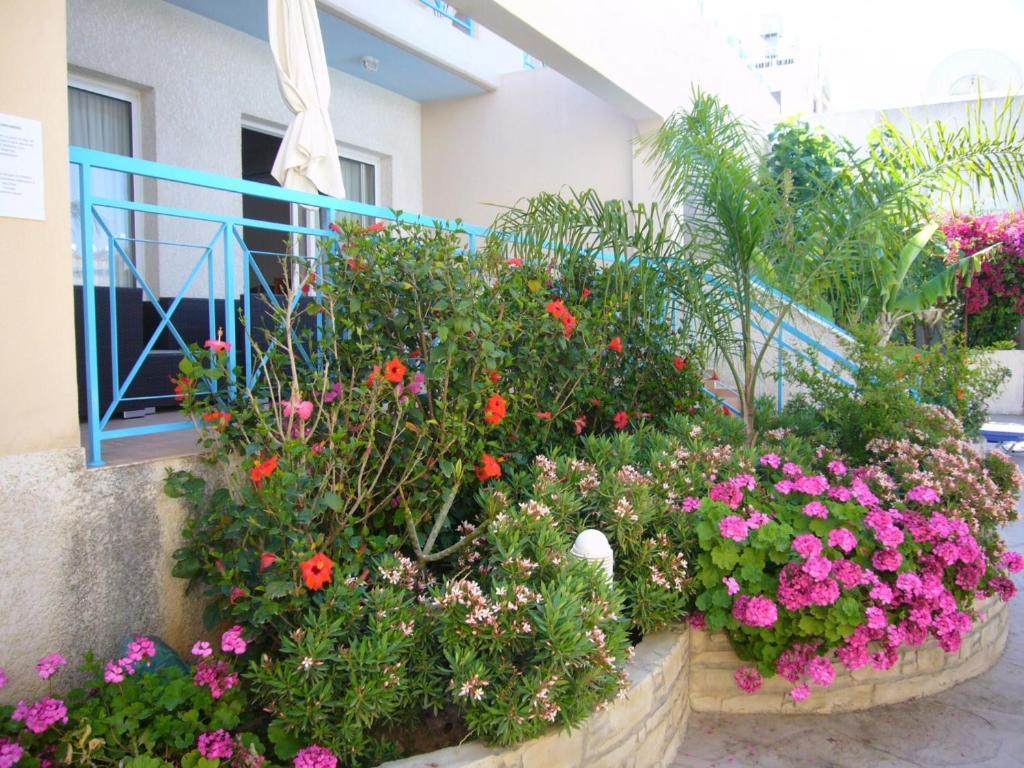 Blue Oasis Gardens Limassol Exterior foto