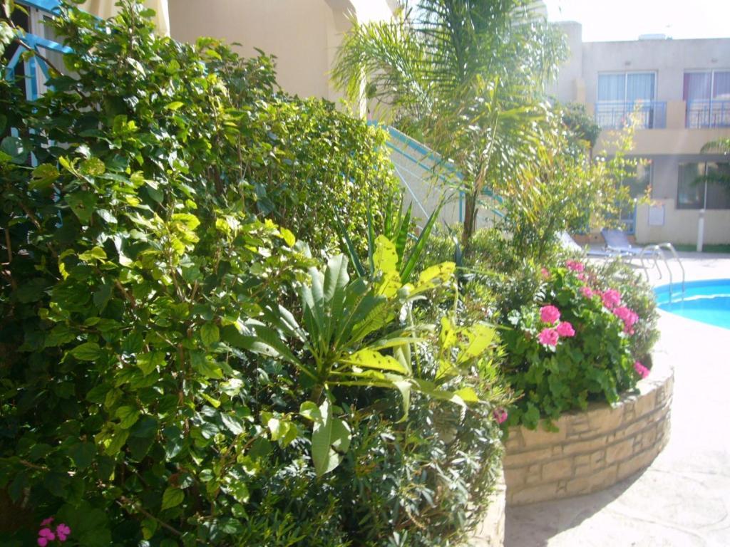 Blue Oasis Gardens Limassol Exterior foto