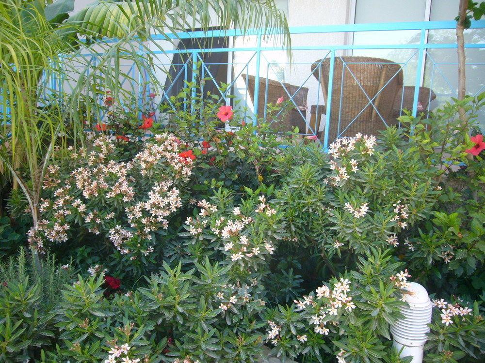 Blue Oasis Gardens Limassol Exterior foto