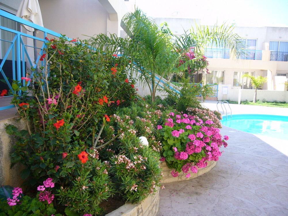 Blue Oasis Gardens Limassol Exterior foto